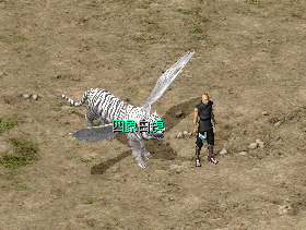 image005.png